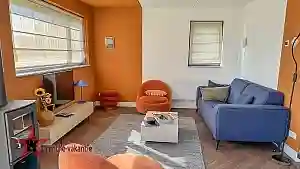De woonkamer van het 4 persoons huisje met houtkachel en smart tv.