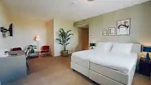 Comfort Plus kamer bij hotel Het Witte Veen